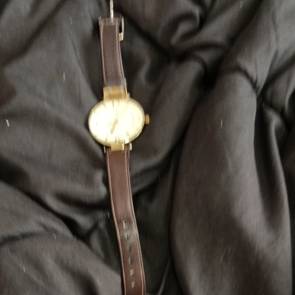 Anne Klein Gold and Brown Women's Watch